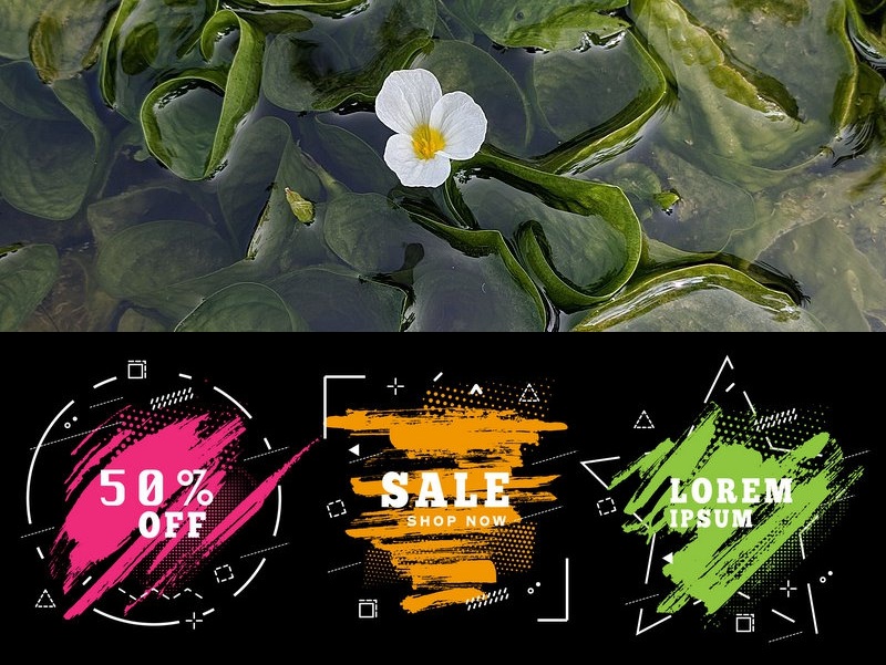 產(chǎn)品外觀(guān)設計