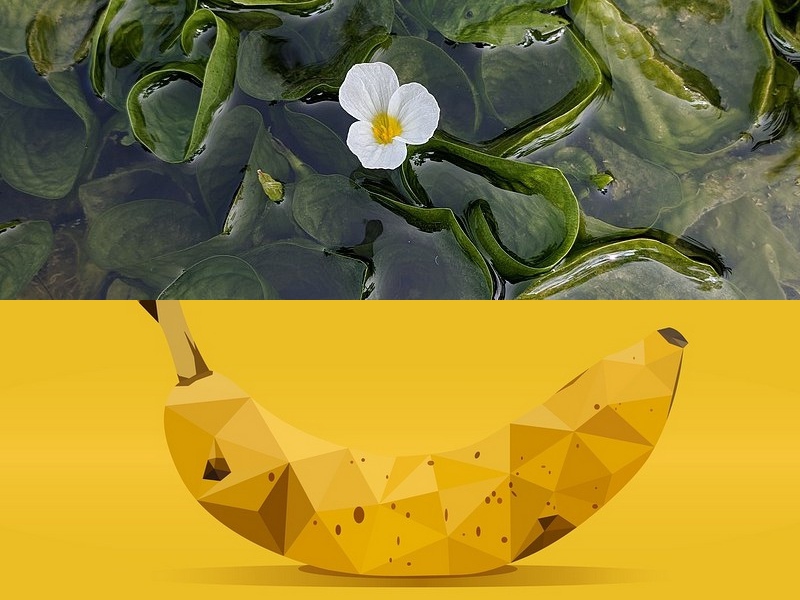 云服務(wù)應用開(kāi)發(fā)
