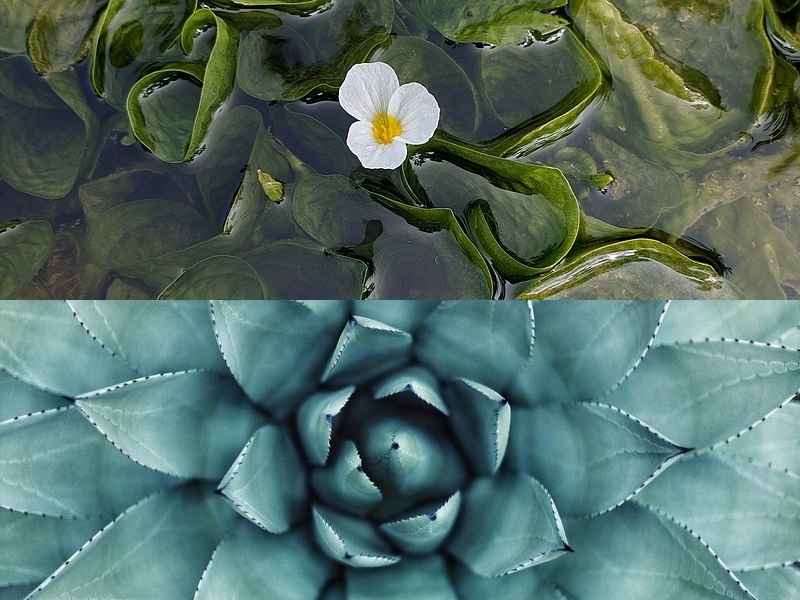 軟件開(kāi)發(fā)項目