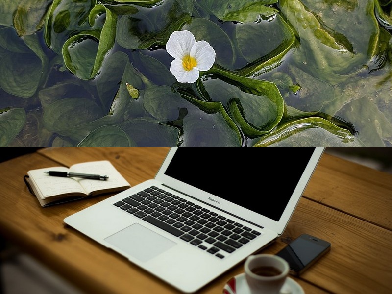 嵌入式系統軟件開(kāi)發(fā)