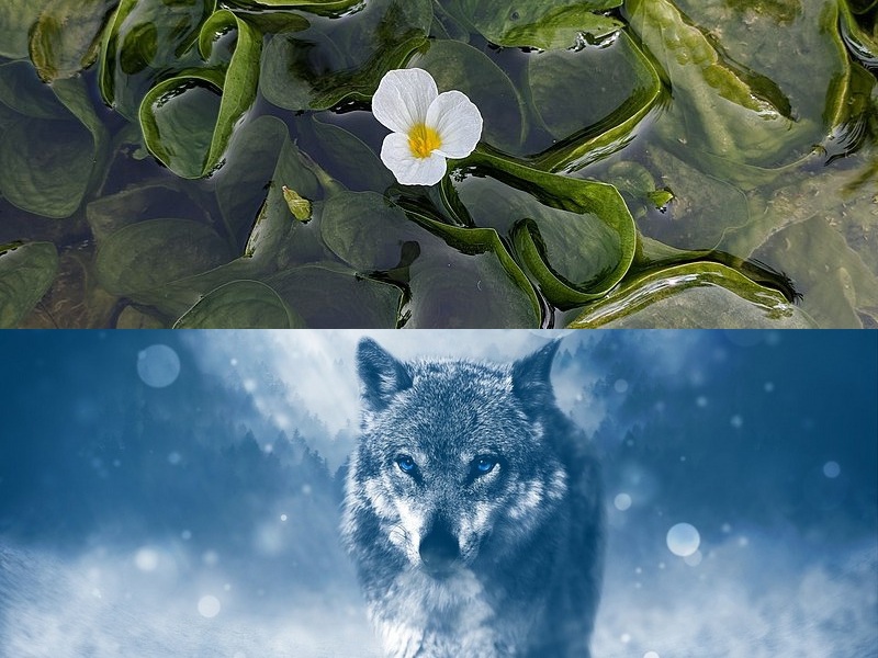 快速軟件開(kāi)發(fā)平臺