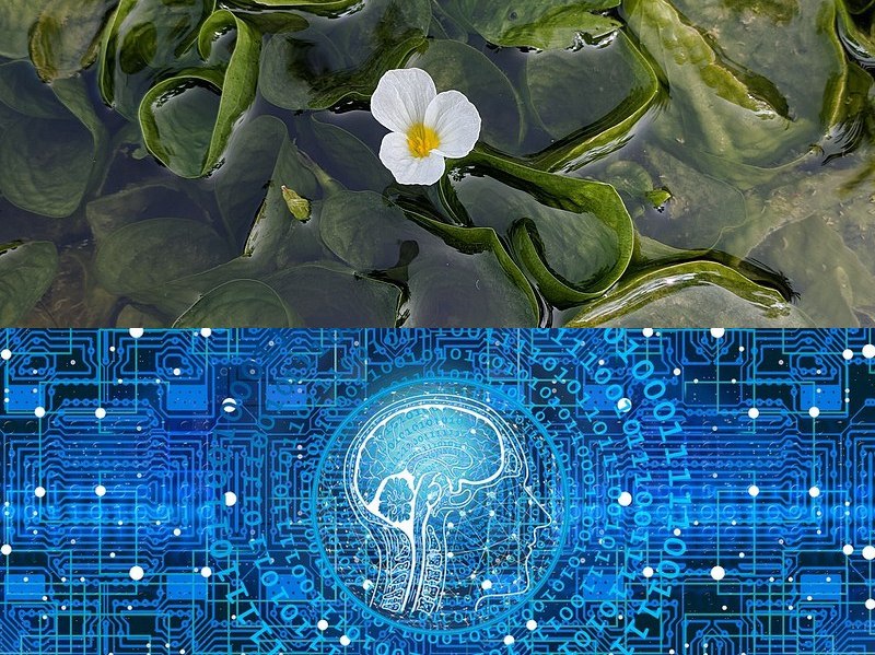 快速軟件開(kāi)發(fā)平臺