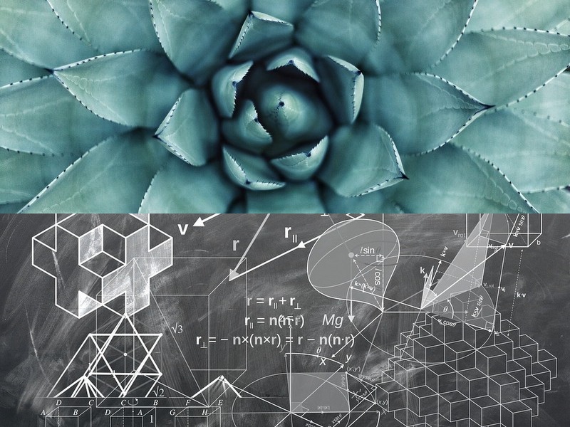 空調扇好用嗎？