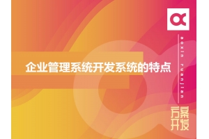 企業(yè)管理系統開(kāi)發(fā)系統的特點(diǎn)有哪些呢？