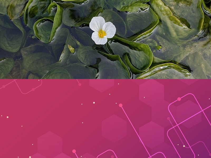工業(yè)軟件開(kāi)發(fā)